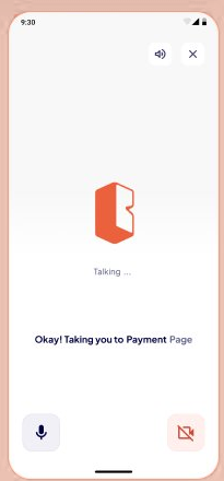 Transition screen narrating that the shopper is being taken to the payment page.